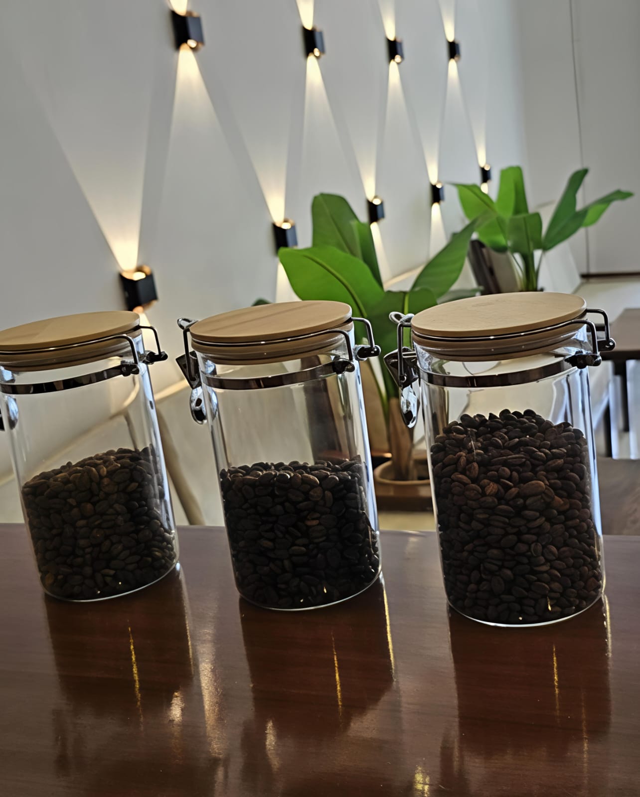 Frascos con variedades de café especial sobre la barra